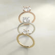 Petite Micropavé Hidden Halo Engagement Ring
