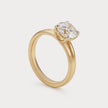 Steadfast Diamond Ring in 18K Yellow Gold