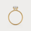 Steadfast Diamond Ring in 18K Yellow Gold